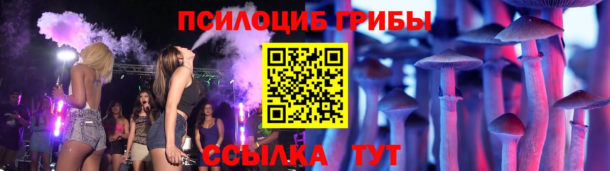 Сертолово  Галлюциногенные грибы MAGIC MUSHROOMS  Вход с VPN 
