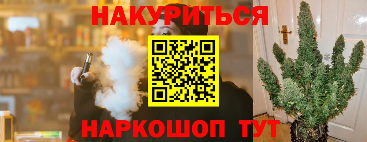 Конопля сатива Сертолово